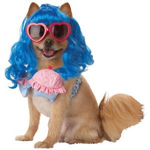 California Girl Katy Perry Dog Costume