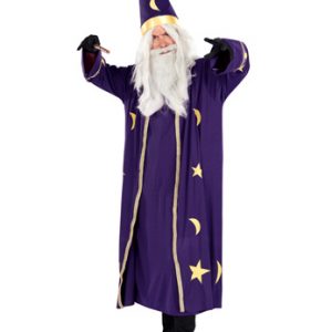 Mens Classic Wizard Costume